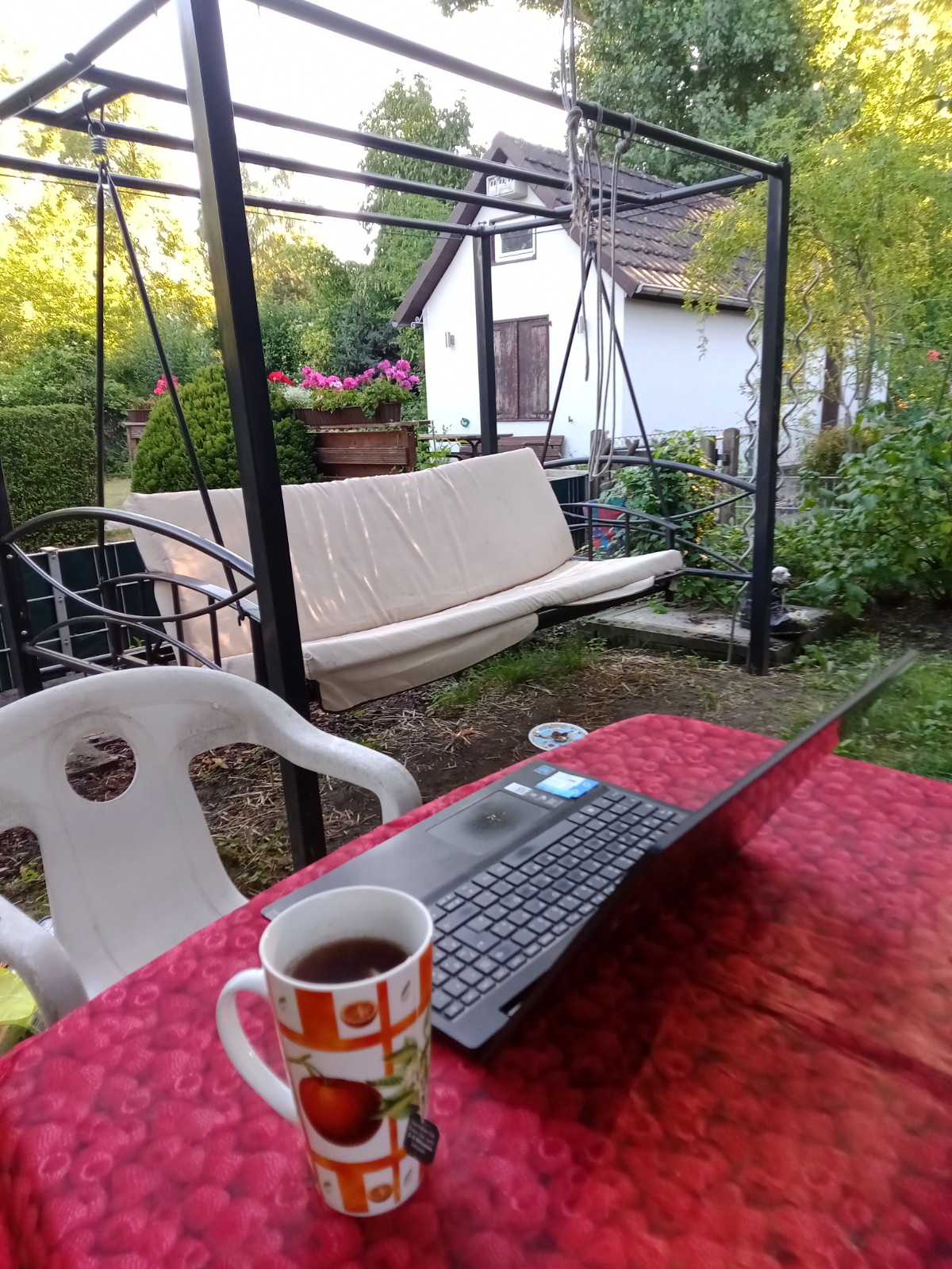 Laptop, Tasse und Hollywoodschaukel im Garten