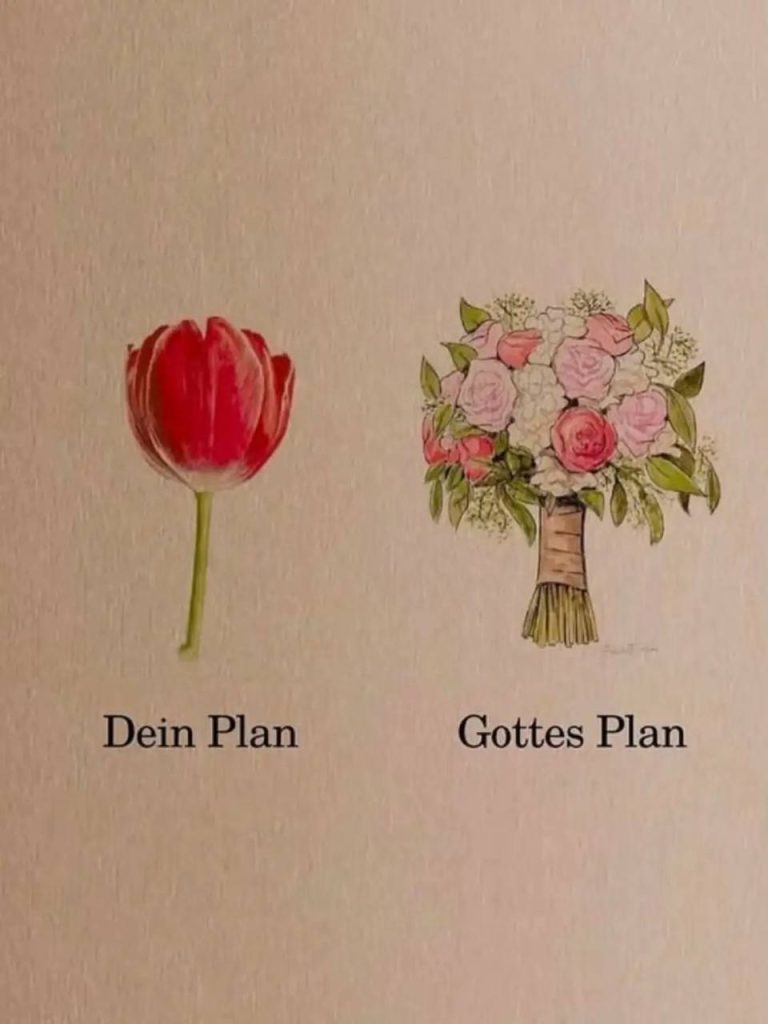 dein plan_gottes plan Bild mit zwei Blumentöpfen und den Worten Dein Plan und Gottes Plan
