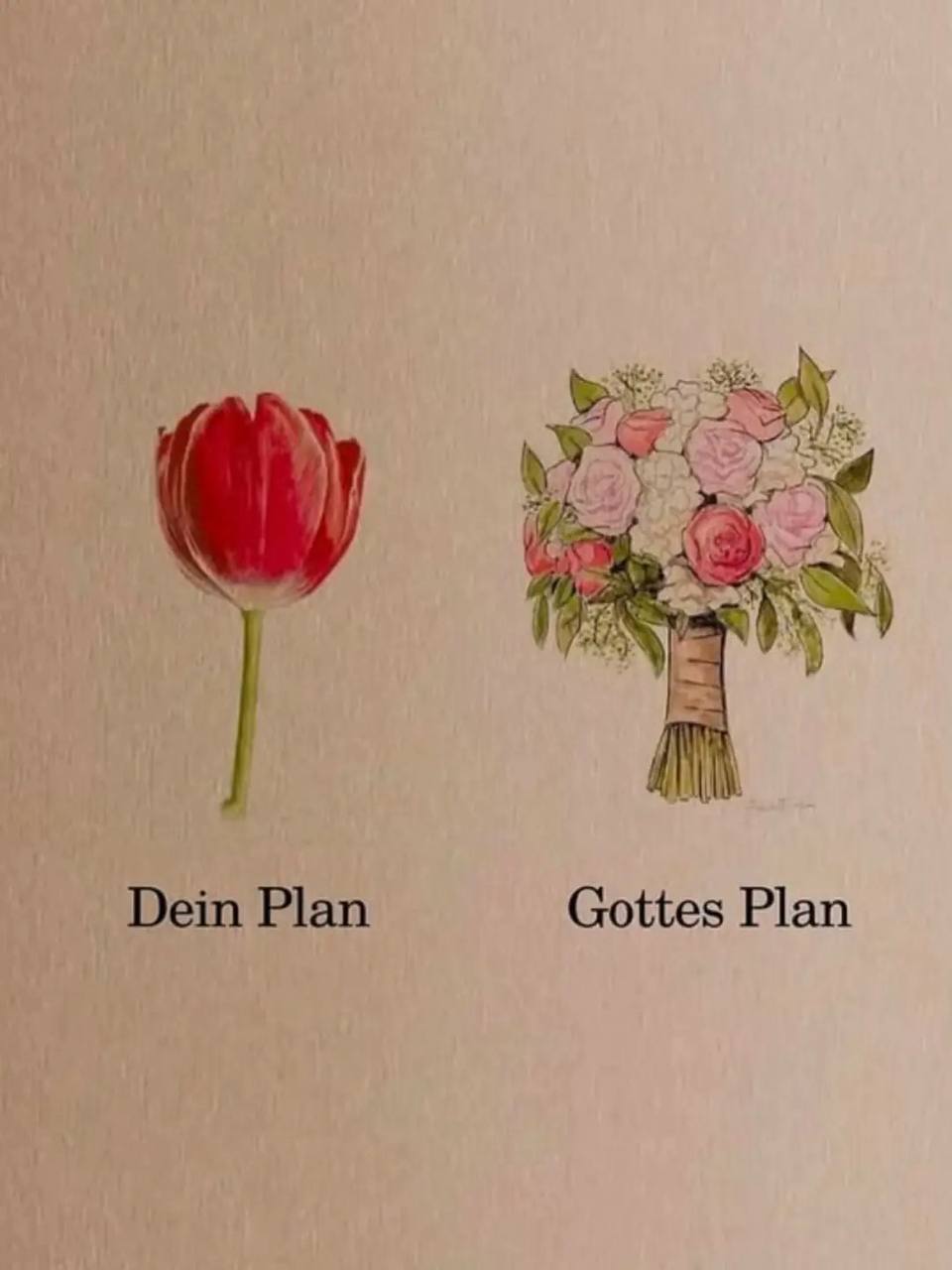 Bild mit zwei Blumentöpfen und den Worten Dein Plan und Gottes Plan