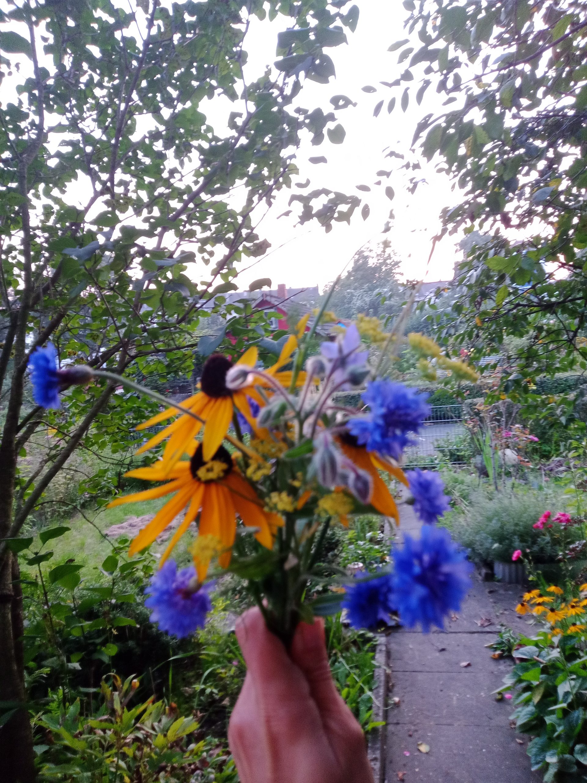 Sommerblumen in einem bunten Gartenstrauß